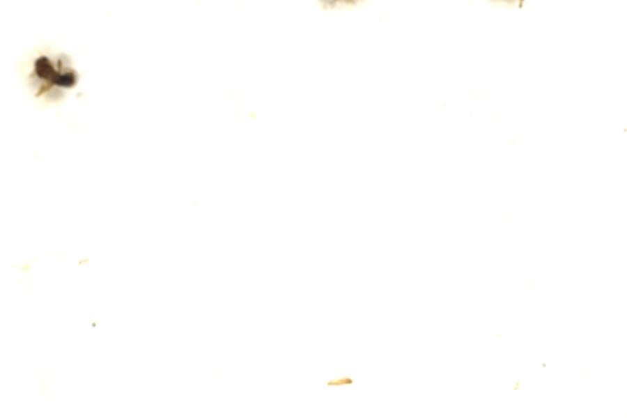 Image 103